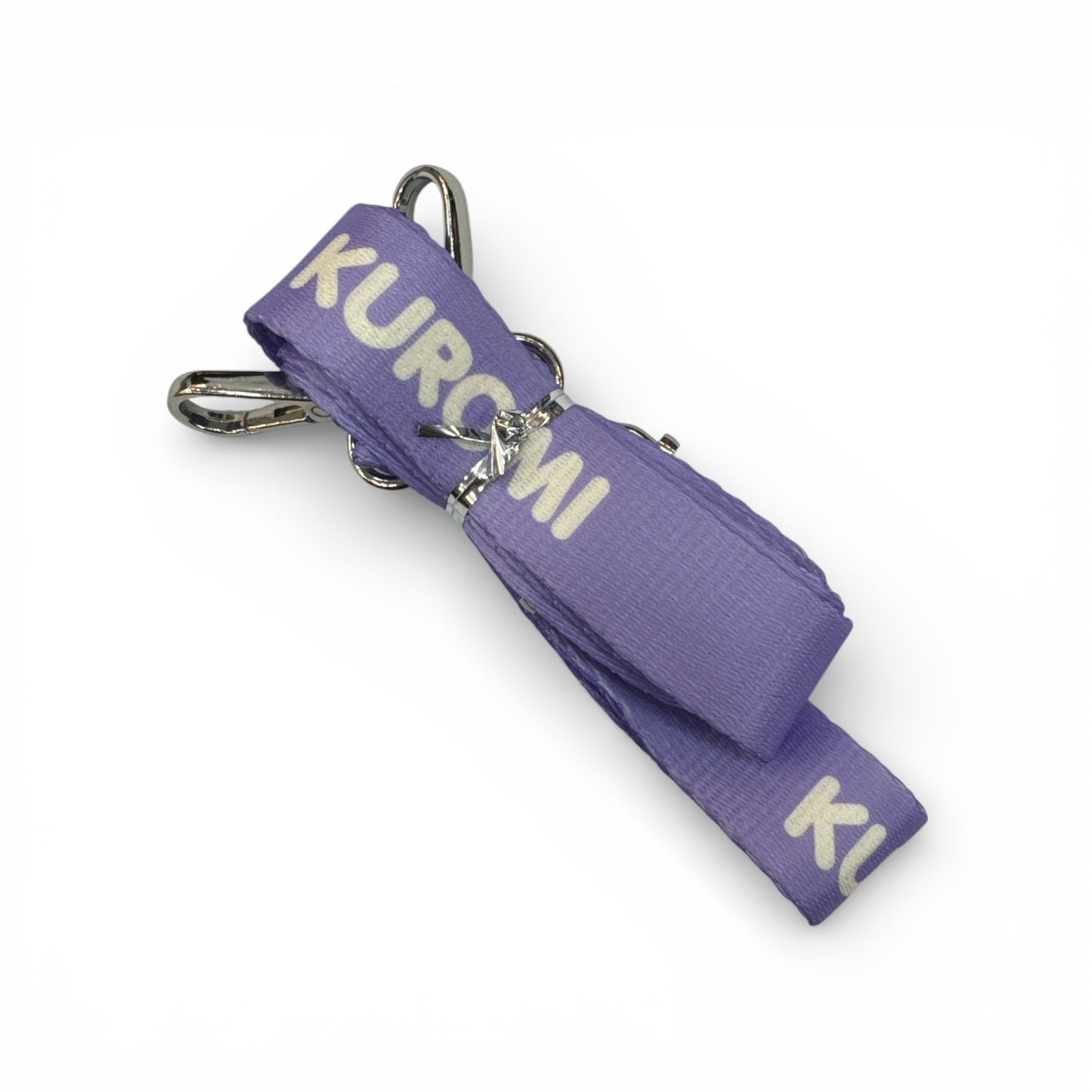 Sanrio Pochacco Flip-Top Water Bottle – Blue Edition